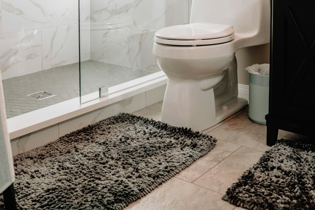 WC à côté d'une douche vitrée dans une salle de bain